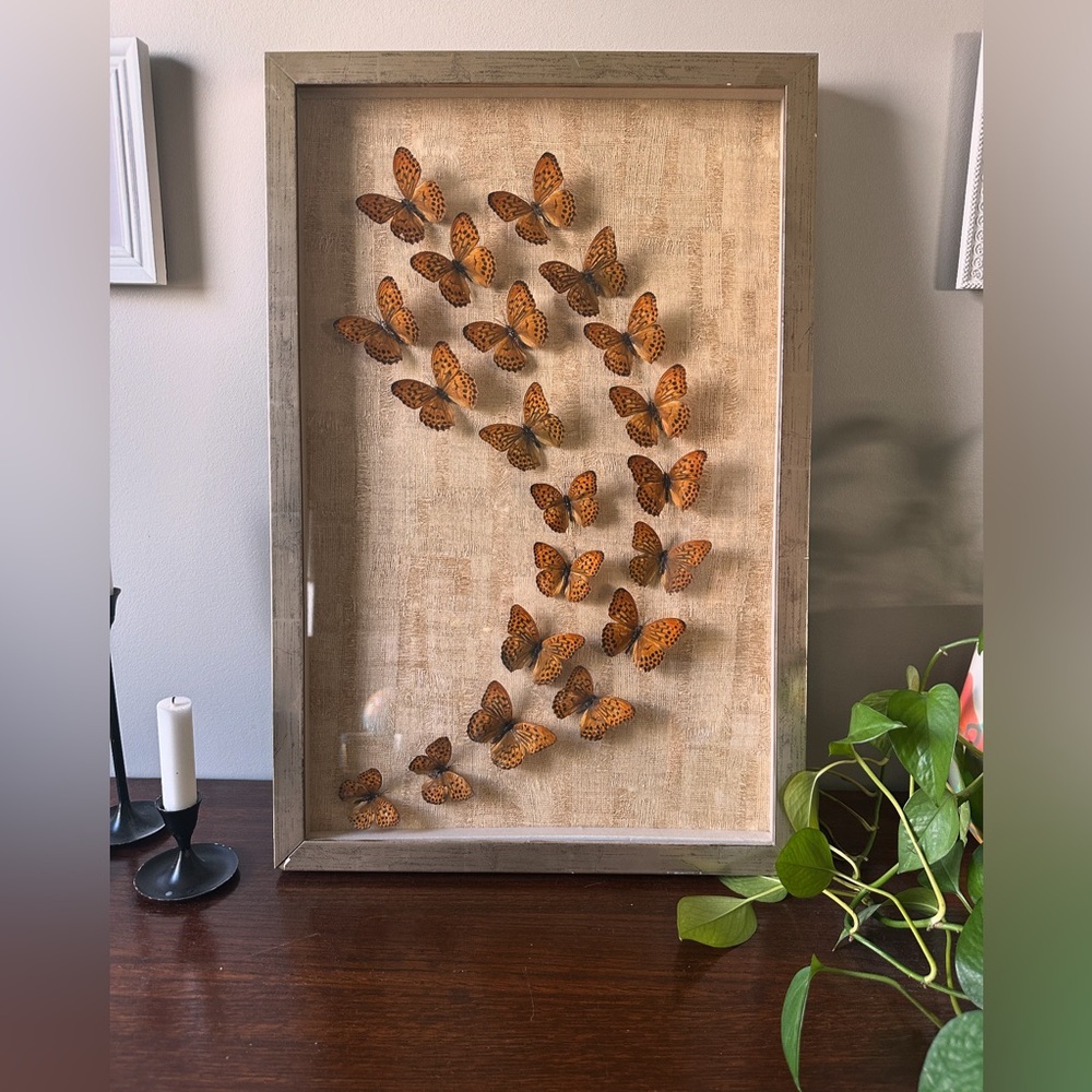 Butterfly Art
